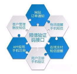 為什么需要這么多的驗證碼？——數字文化創意內容應用服務的視角